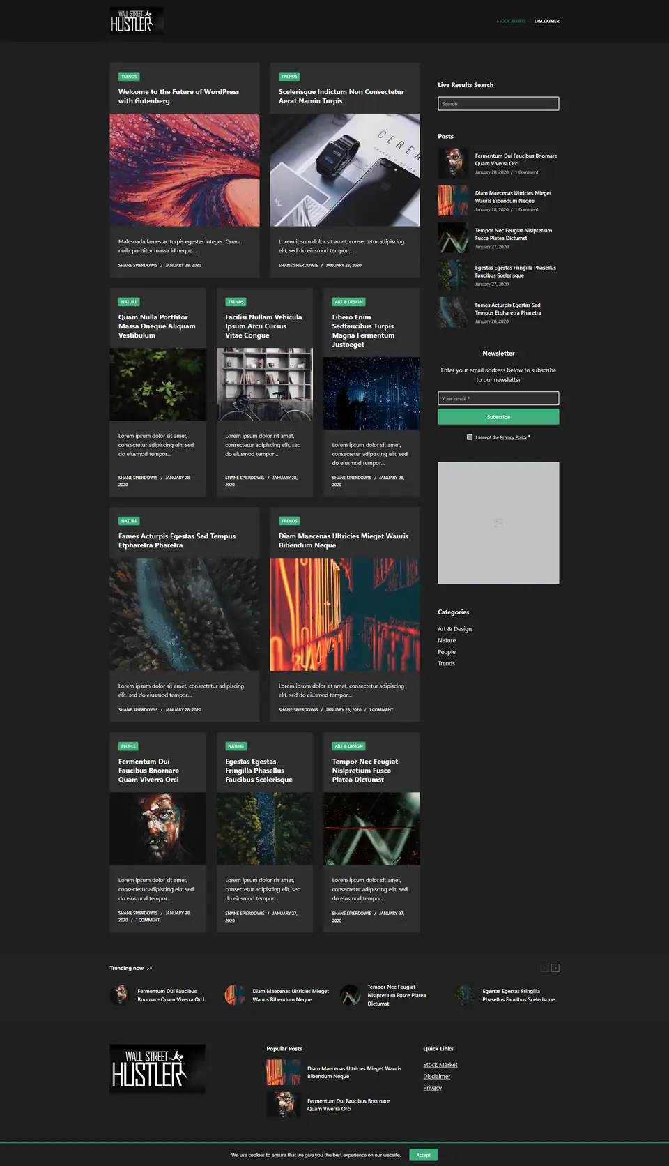 Shane Spierdowis website, full page