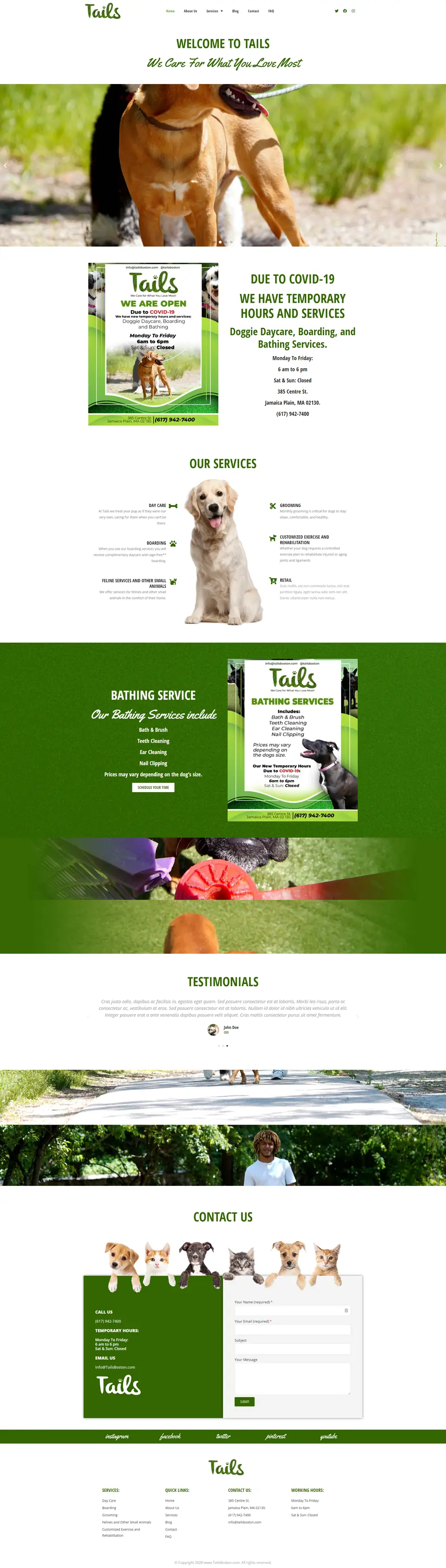TAILS Boston website, full page